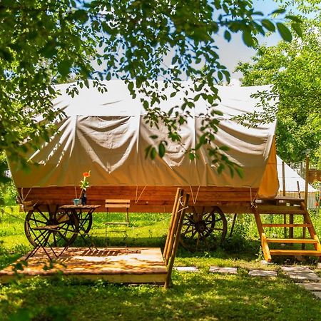 Dragonfly Gardens - The Wagons Hotel Brasov Bagian luar foto