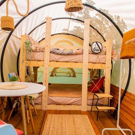 Dragonfly Gardens - The Wagons Hotel Brasov Bagian luar foto