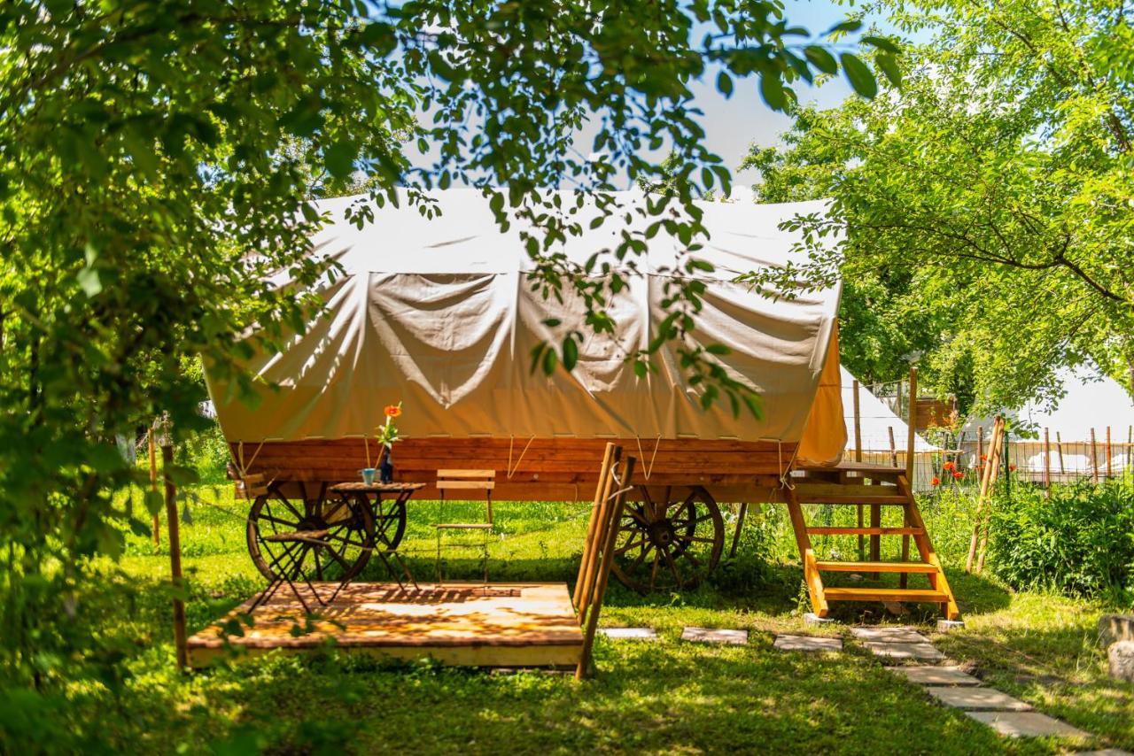 Dragonfly Gardens - The Wagons Hotel Brasov Bagian luar foto