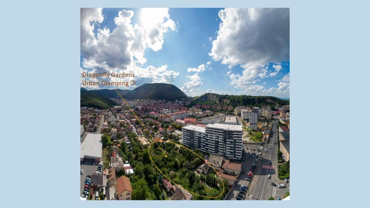 Dragonfly Gardens - The Wagons Hotel Brasov Bagian luar foto