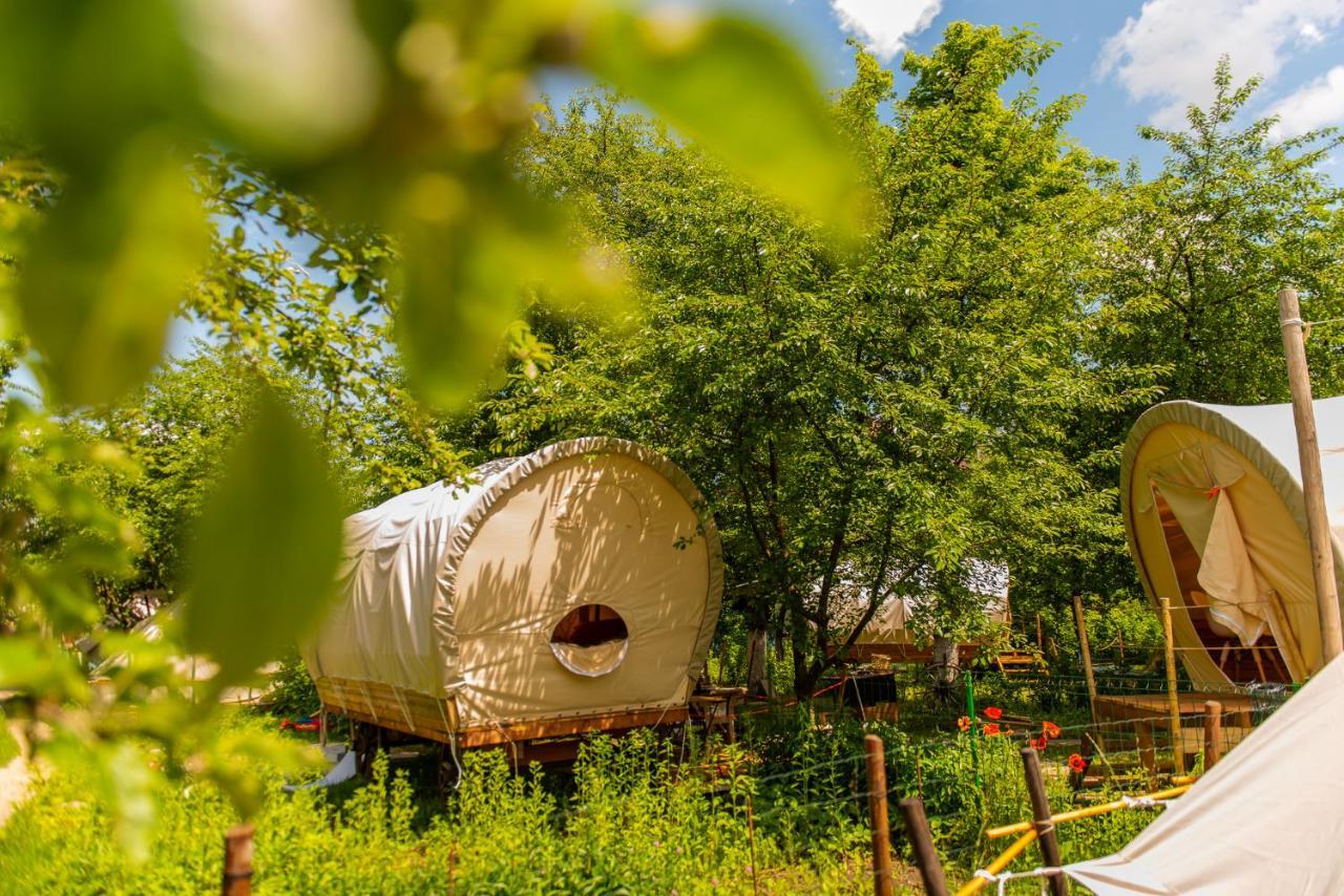 Dragonfly Gardens - The Wagons Hotel Brasov Bagian luar foto