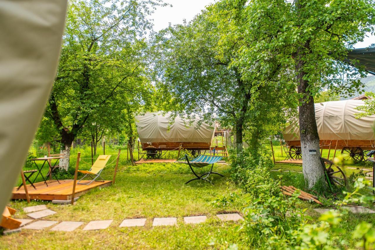 Dragonfly Gardens - The Wagons Hotel Brasov Bagian luar foto