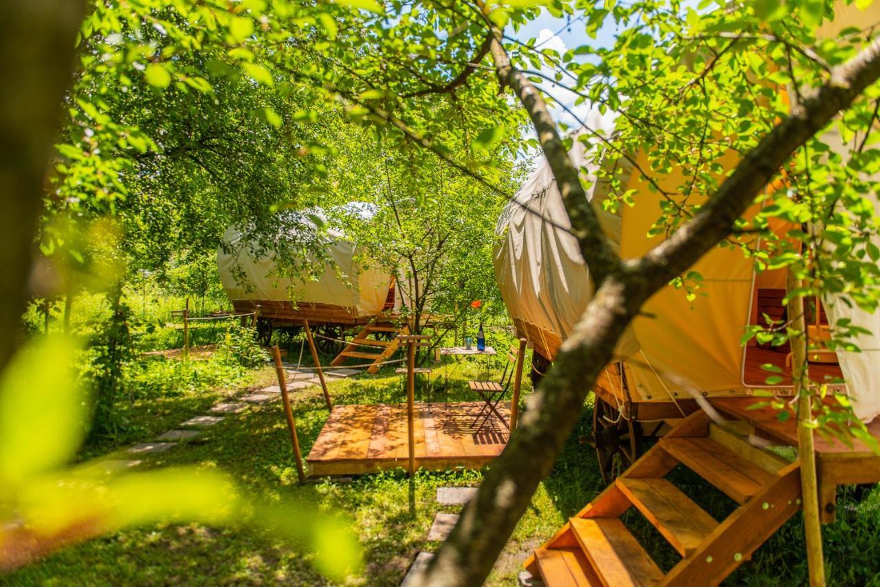 Dragonfly Gardens - The Wagons Hotel Brasov Bagian luar foto