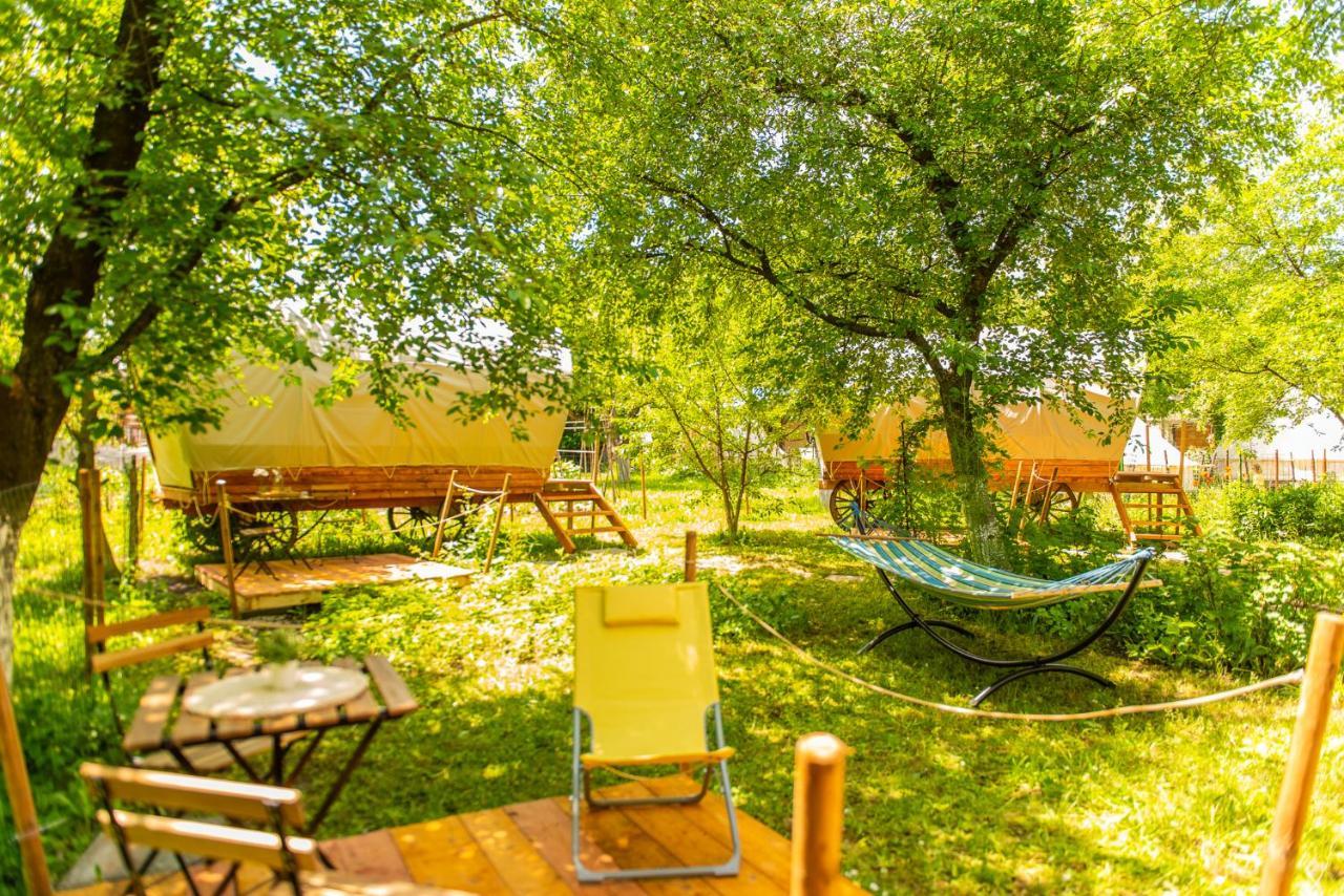 Dragonfly Gardens - The Wagons Hotel Brasov Bagian luar foto
