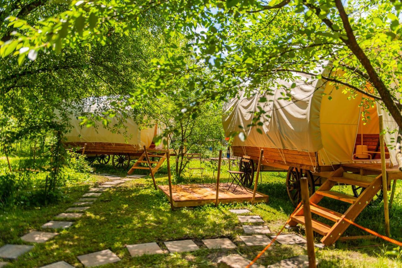 Dragonfly Gardens - The Wagons Hotel Brasov Bagian luar foto