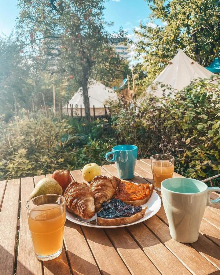 Dragonfly Gardens - The Wagons Hotel Brasov Bagian luar foto
