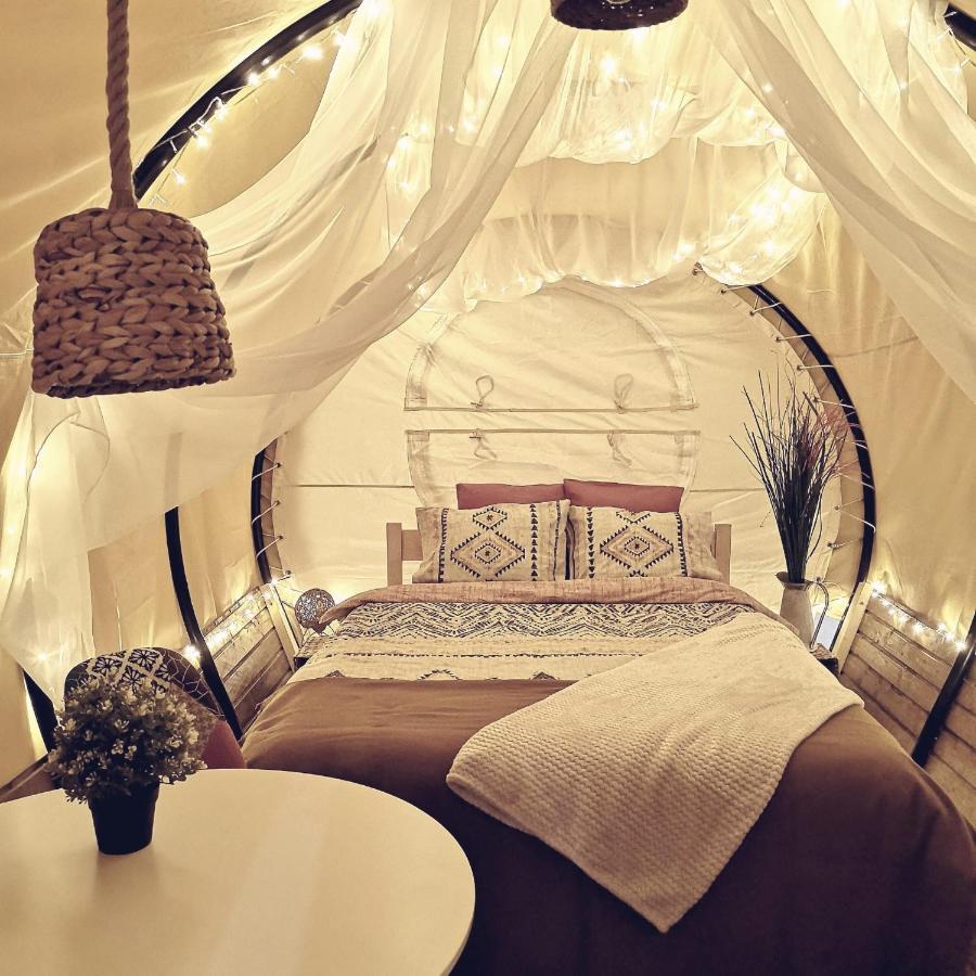 Dragonfly Gardens - The Wagons Hotel Brasov Bagian luar foto