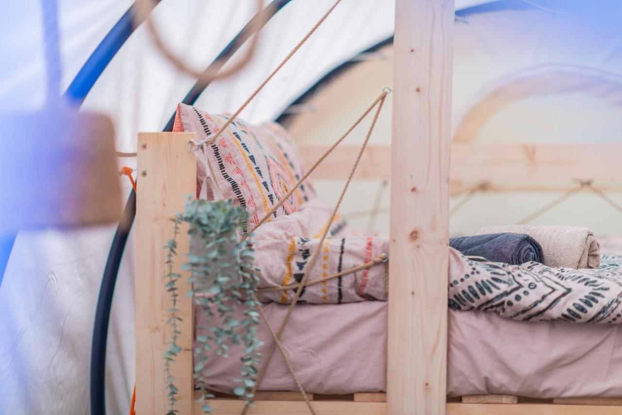 Dragonfly Gardens - The Wagons Hotel Brasov Bagian luar foto