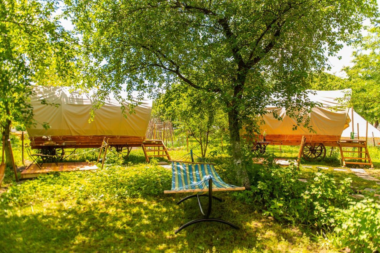 Dragonfly Gardens - The Wagons Hotel Brasov Bagian luar foto