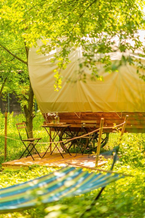 Dragonfly Gardens - The Wagons Hotel Brasov Bagian luar foto
