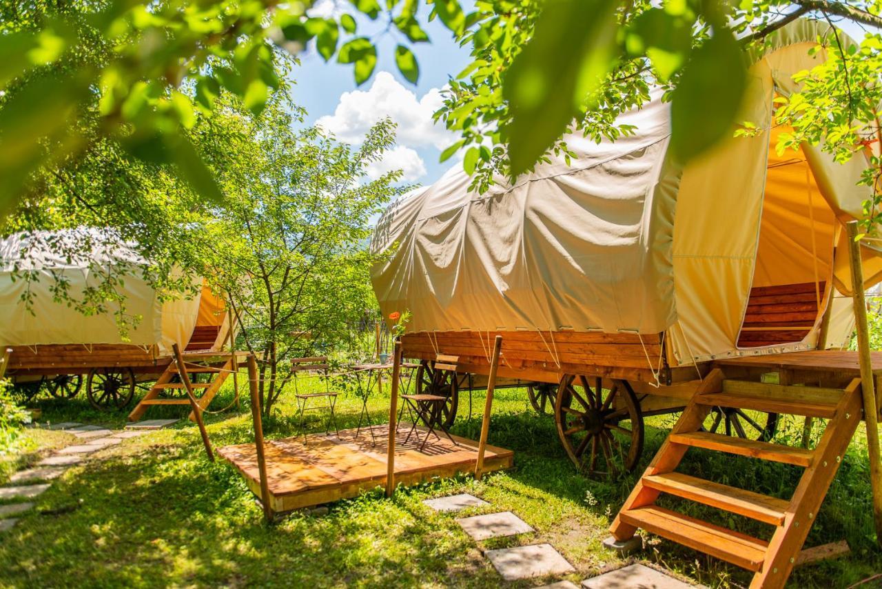 Dragonfly Gardens - The Wagons Hotel Brasov Bagian luar foto