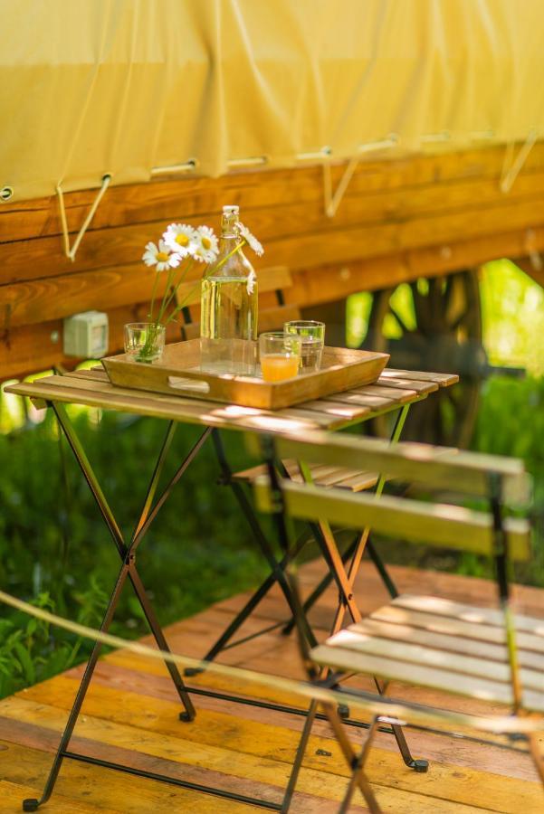 Dragonfly Gardens - The Wagons Hotel Brasov Bagian luar foto