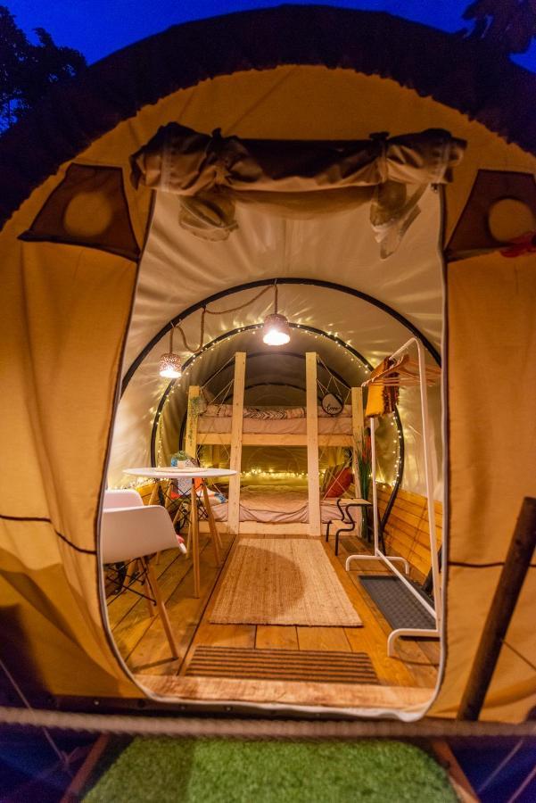 Dragonfly Gardens - The Wagons Hotel Brasov Bagian luar foto