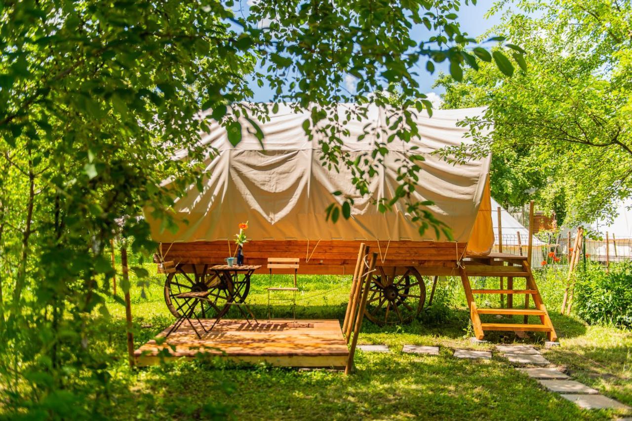 Dragonfly Gardens - The Wagons Hotel Brasov Bagian luar foto