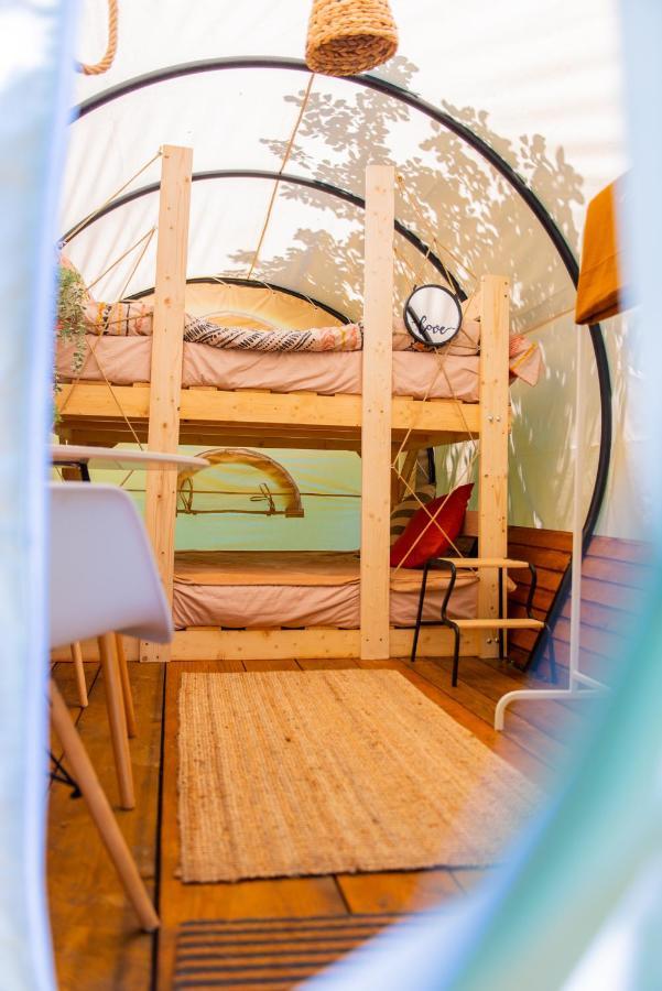 Dragonfly Gardens - The Wagons Hotel Brasov Bagian luar foto