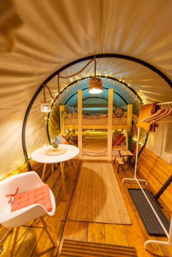 Dragonfly Gardens - The Wagons Hotel Brasov Bagian luar foto