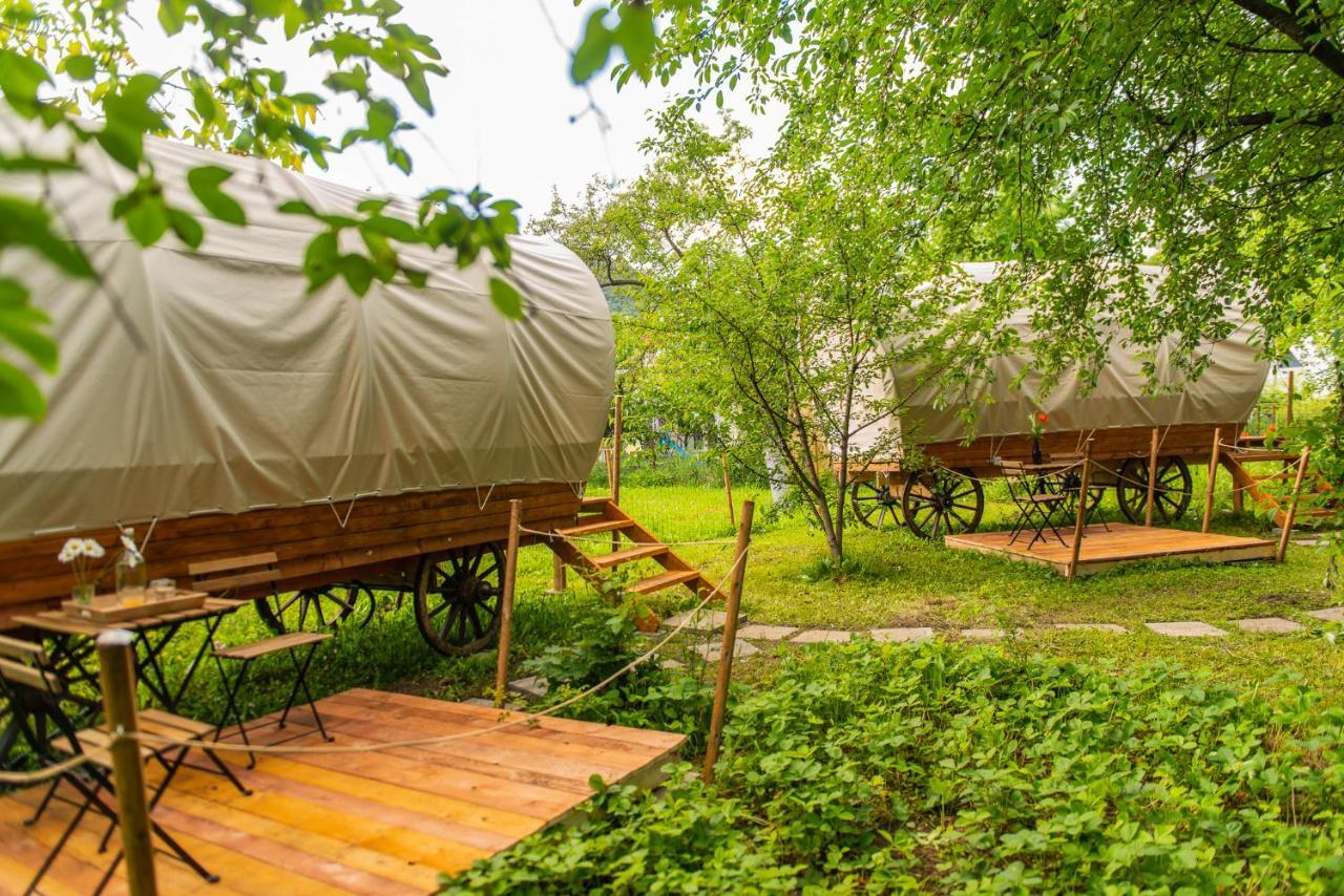 Dragonfly Gardens - The Wagons Hotel Brasov Bagian luar foto
