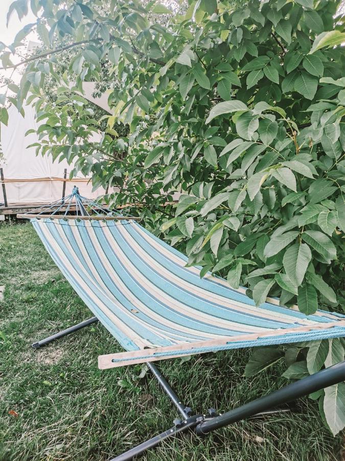 Dragonfly Gardens - The Wagons Hotel Brasov Bagian luar foto