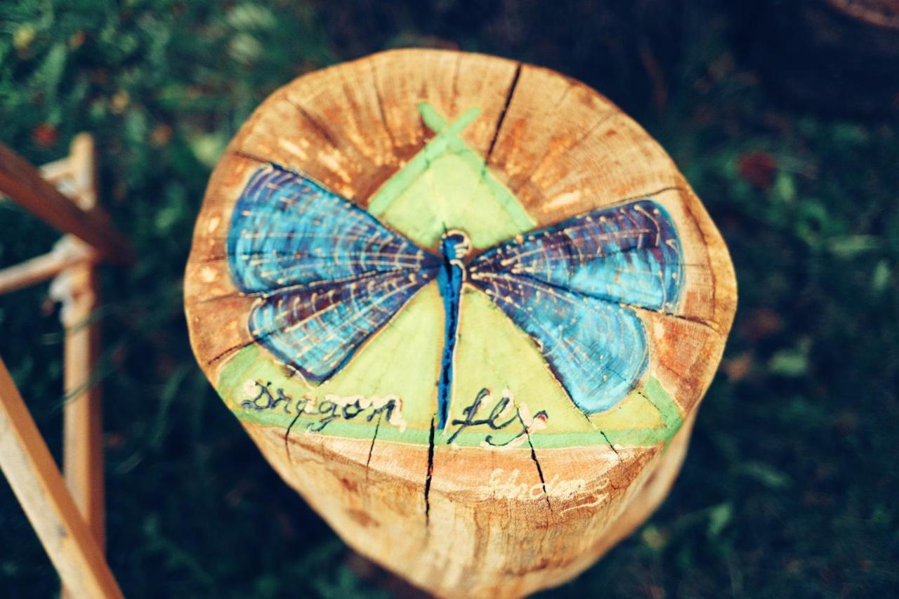 Dragonfly Gardens - The Wagons Hotel Brasov Bagian luar foto