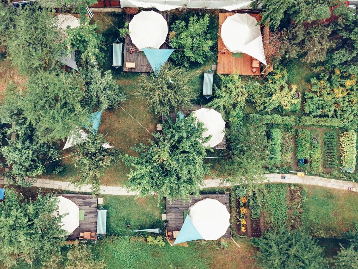 Dragonfly Gardens - The Wagons Hotel Brasov Bagian luar foto