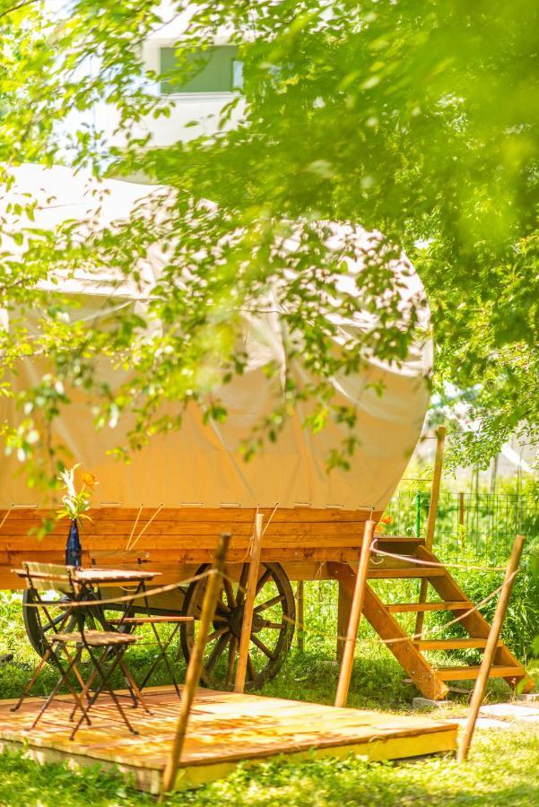 Dragonfly Gardens - The Wagons Hotel Brasov Bagian luar foto