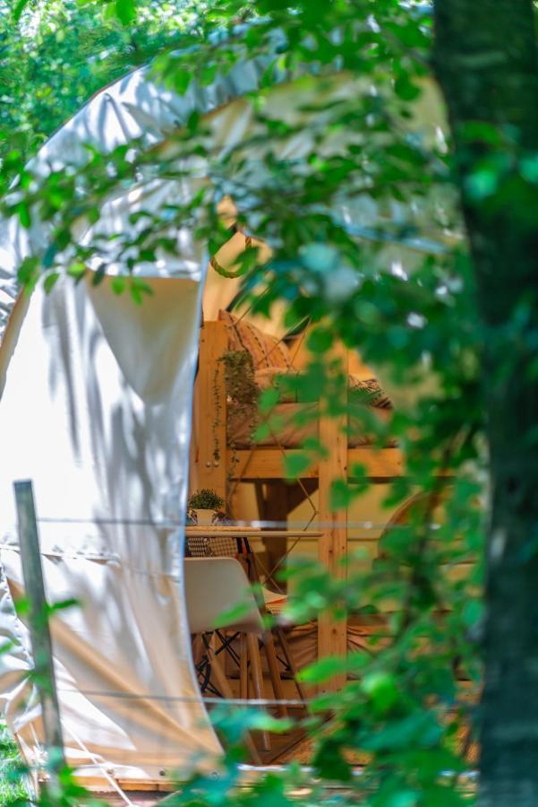 Dragonfly Gardens - The Wagons Hotel Brasov Bagian luar foto
