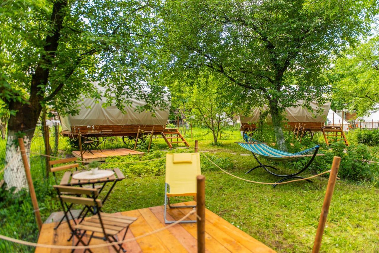 Dragonfly Gardens - The Wagons Hotel Brasov Bagian luar foto