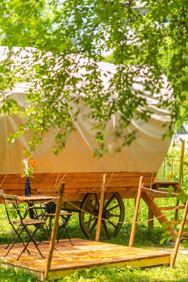 Dragonfly Gardens - The Wagons Hotel Brasov Bagian luar foto