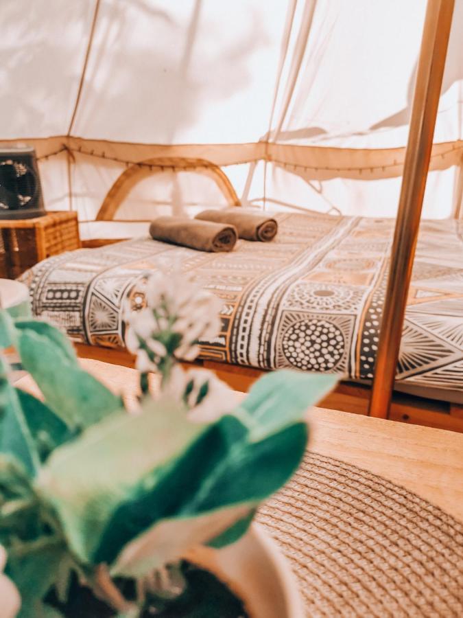 Dragonfly Gardens - The Wagons Hotel Brasov Bagian luar foto