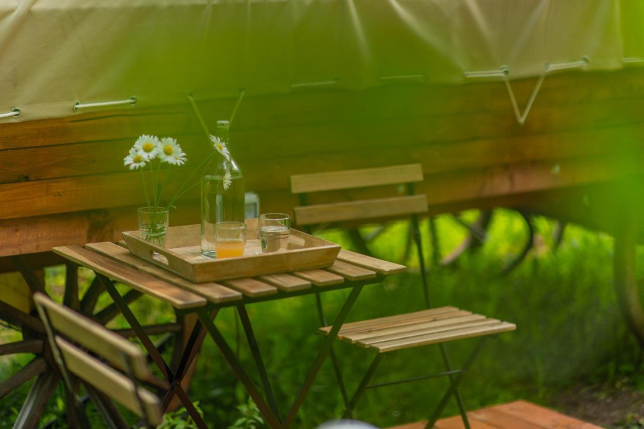 Dragonfly Gardens - The Wagons Hotel Brasov Bagian luar foto