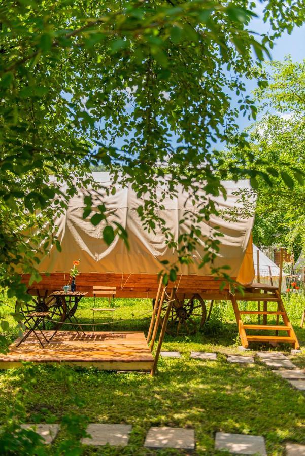 Dragonfly Gardens - The Wagons Hotel Brasov Bagian luar foto