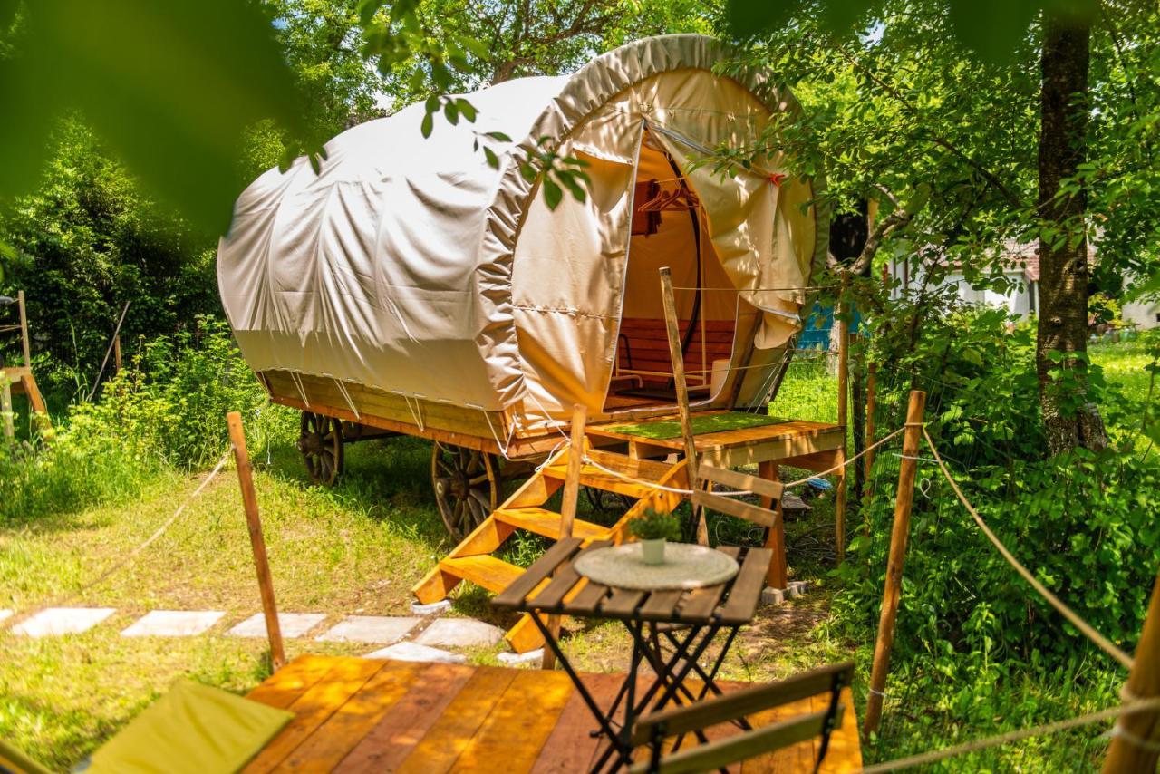 Dragonfly Gardens - The Wagons Hotel Brasov Bagian luar foto