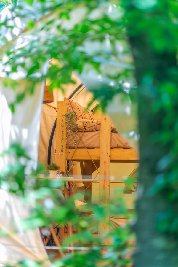 Dragonfly Gardens - The Wagons Hotel Brasov Bagian luar foto