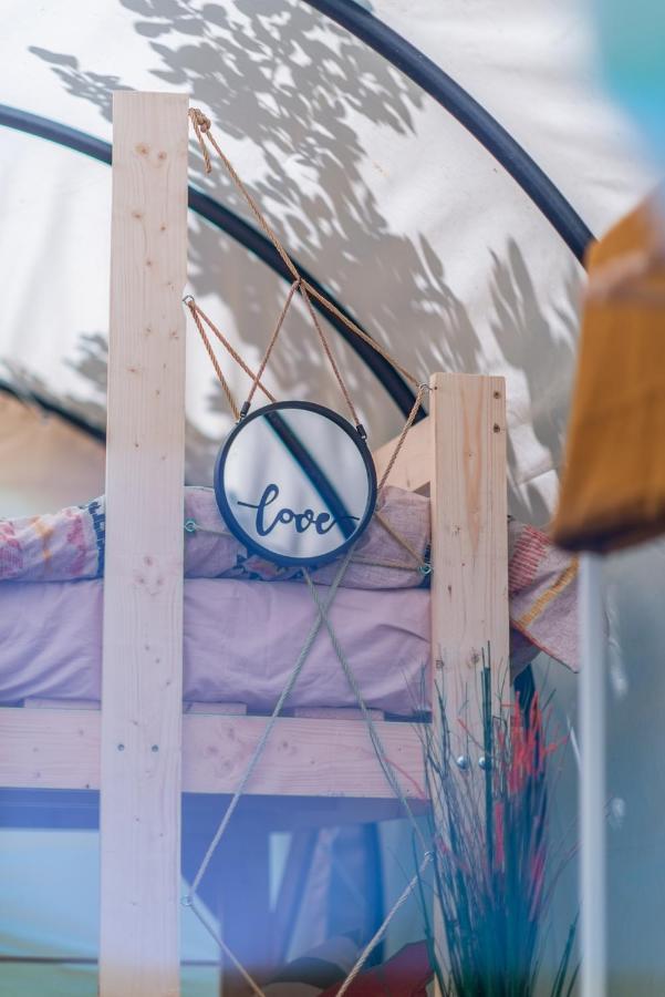 Dragonfly Gardens - The Wagons Hotel Brasov Bagian luar foto
