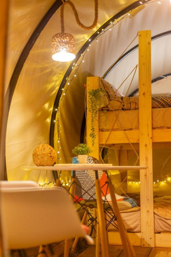 Dragonfly Gardens - The Wagons Hotel Brasov Bagian luar foto