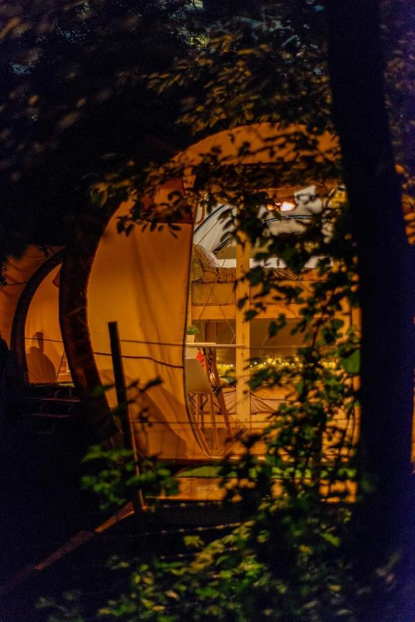 Dragonfly Gardens - The Wagons Hotel Brasov Bagian luar foto
