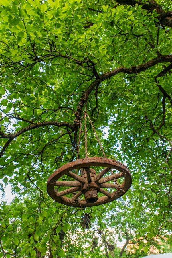 Dragonfly Gardens - The Wagons Hotel Brasov Bagian luar foto