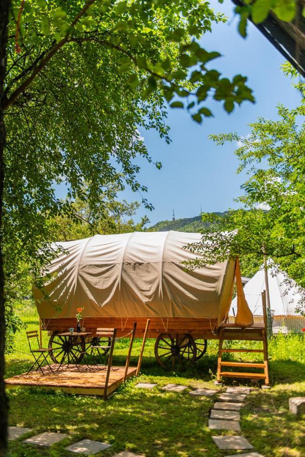 Dragonfly Gardens - The Wagons Hotel Brasov Bagian luar foto