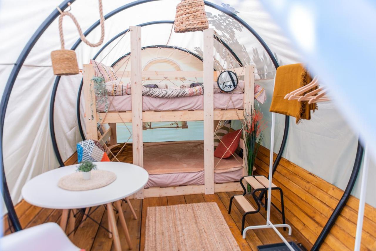 Dragonfly Gardens - The Wagons Hotel Brasov Bagian luar foto