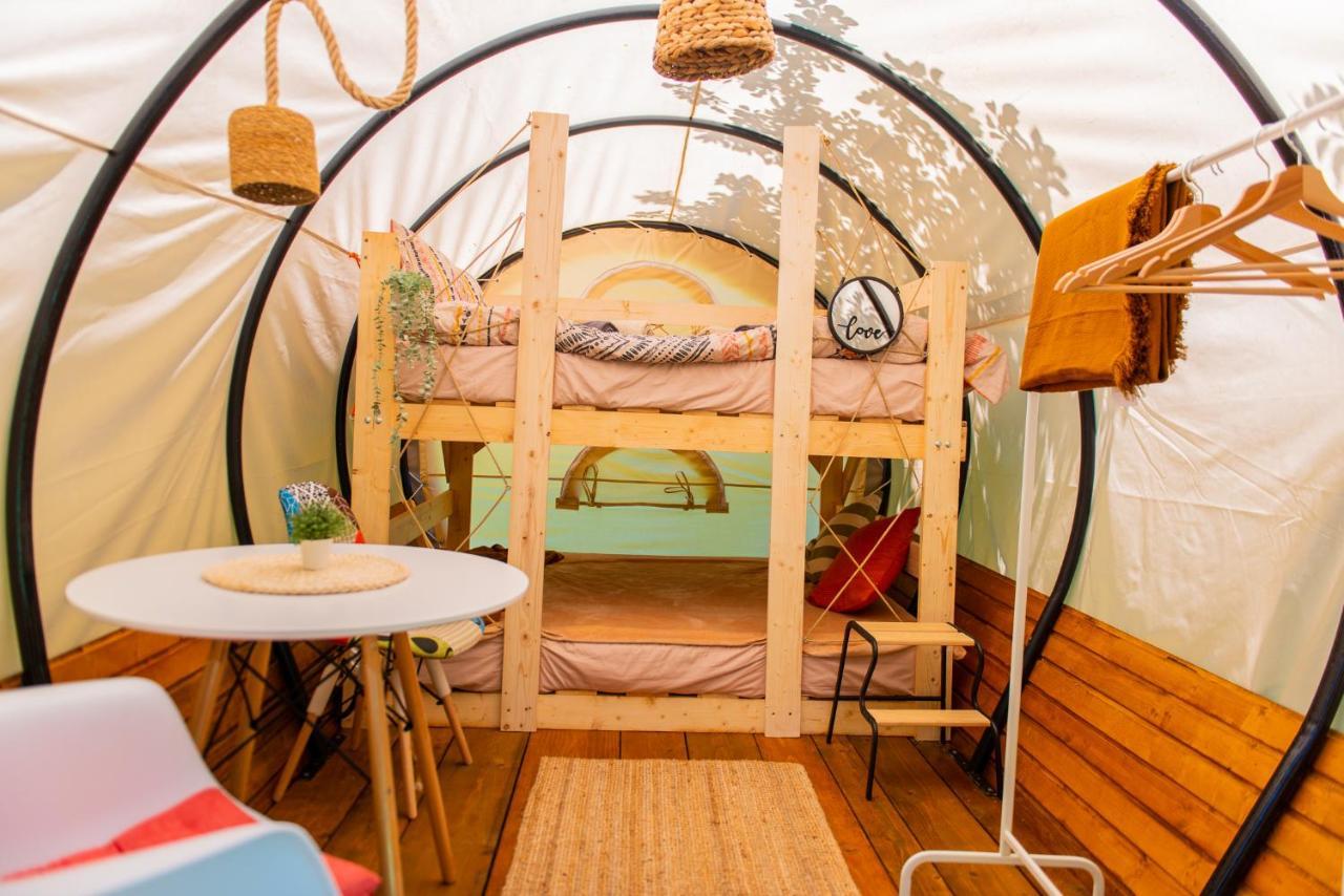 Dragonfly Gardens - The Wagons Hotel Brasov Bagian luar foto