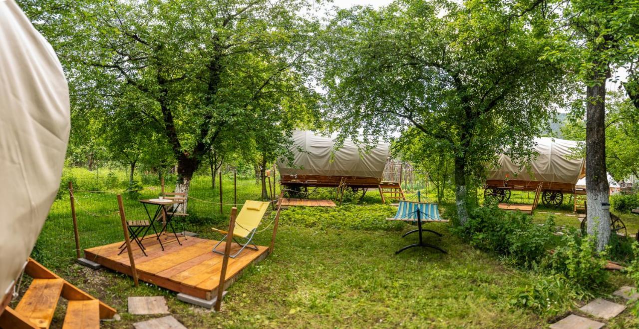 Dragonfly Gardens - The Wagons Hotel Brasov Bagian luar foto